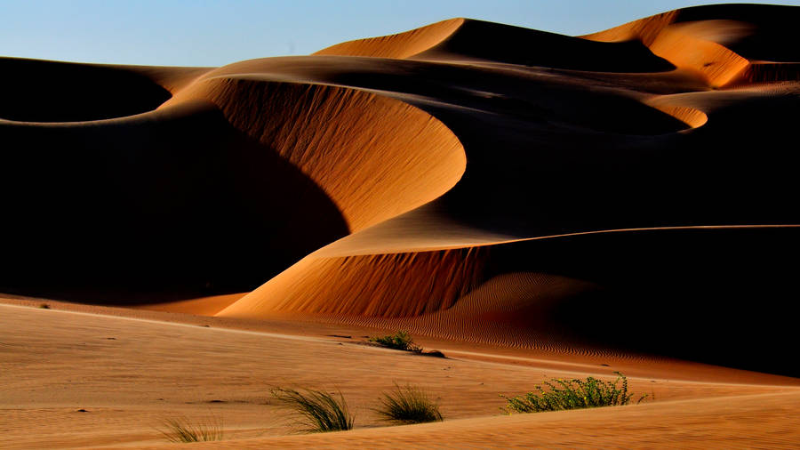 Best 4k Uhd Sand Dunes Wallpaper