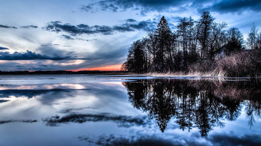 Best 4k Uhd Trees Water Reflection Wallpaper