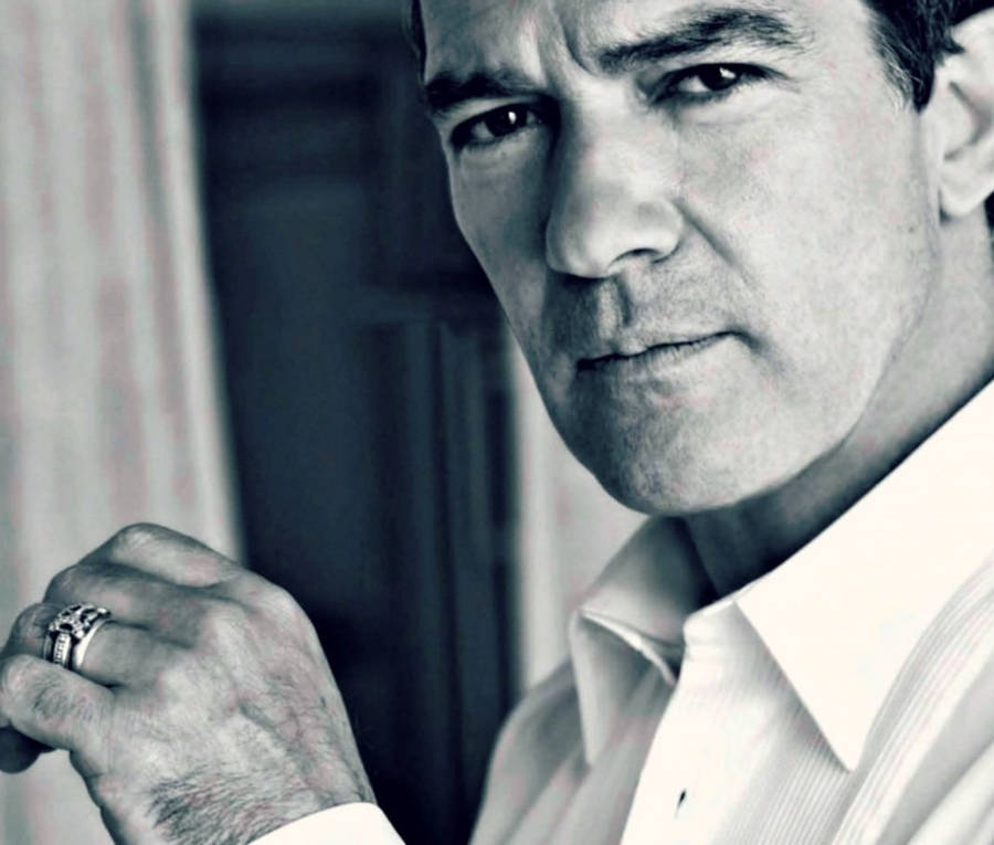 Best Actor Antonio Banderas Wallpaper