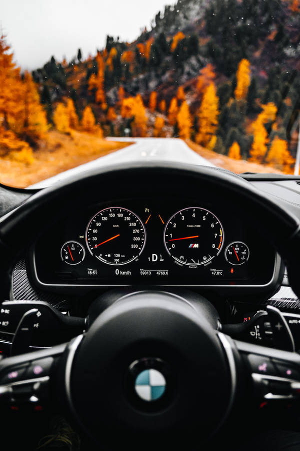 Best Autumn Car Dashboard Wallpaper