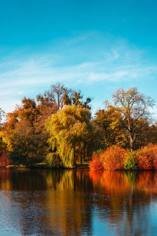 Best Autumn Forest And Lake Wallpaper