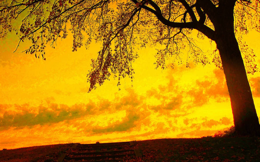 Best Autumn Yellow Sky Wallpaper