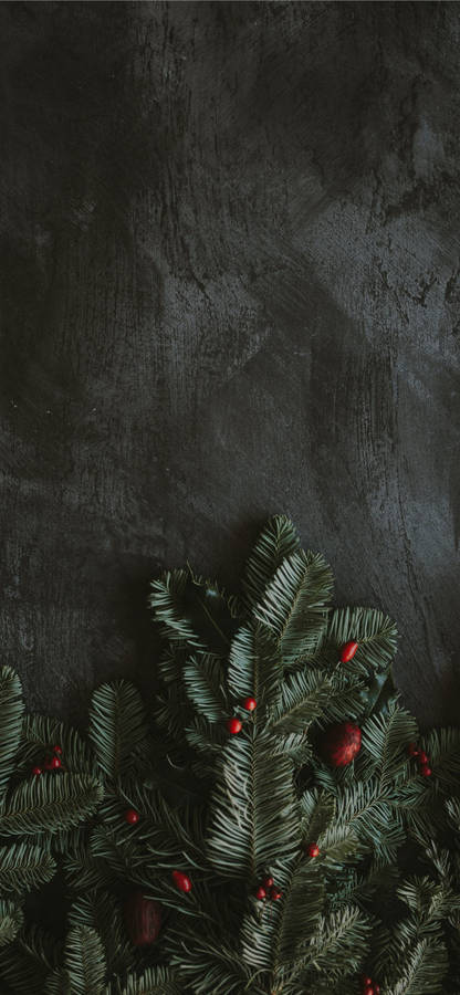 Best Dark Iphone Leaf Wallpaper