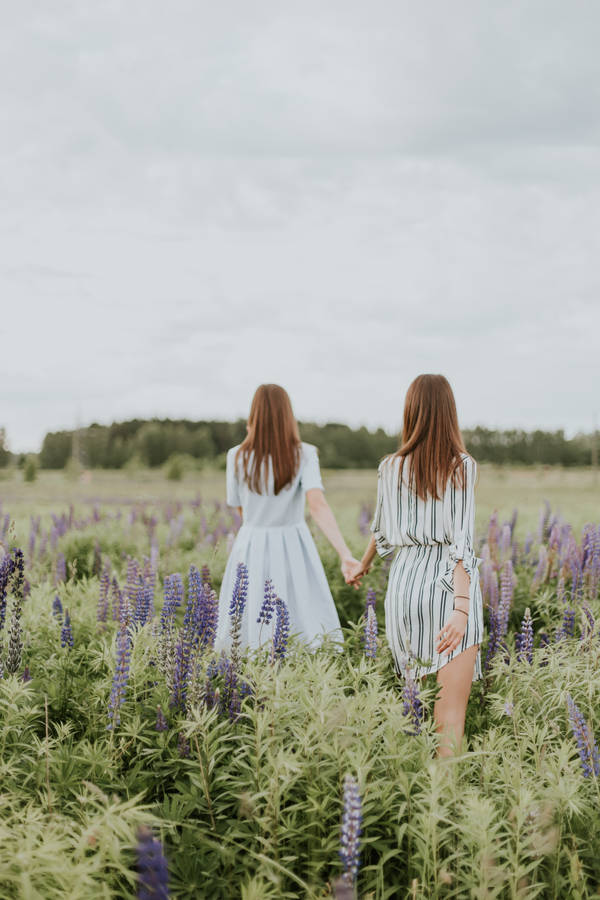 Best Friend In Lavender Field Wallpaper