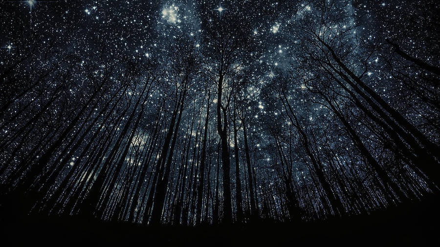 Best Starry Night View Wallpaper