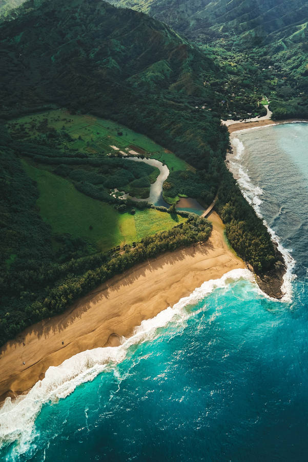 Beyond Lush Greenery Beach Wave Iphone Wallpaper