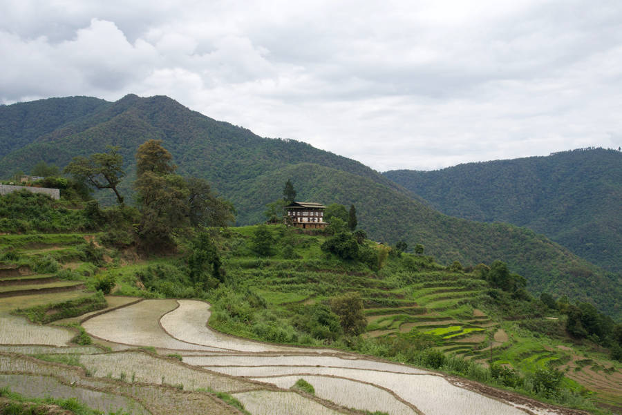 Bhutan Punakha Mountain Wallpaper