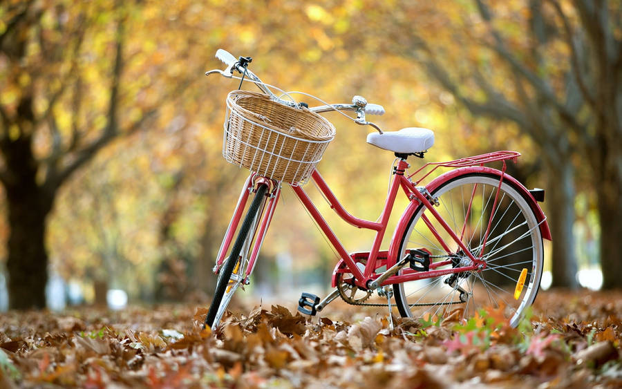 Bicycle On Fallen Leaves Wallpaper