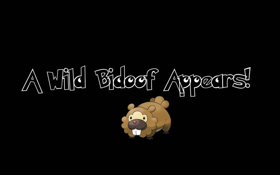 Bidoof Appears Wallpaper