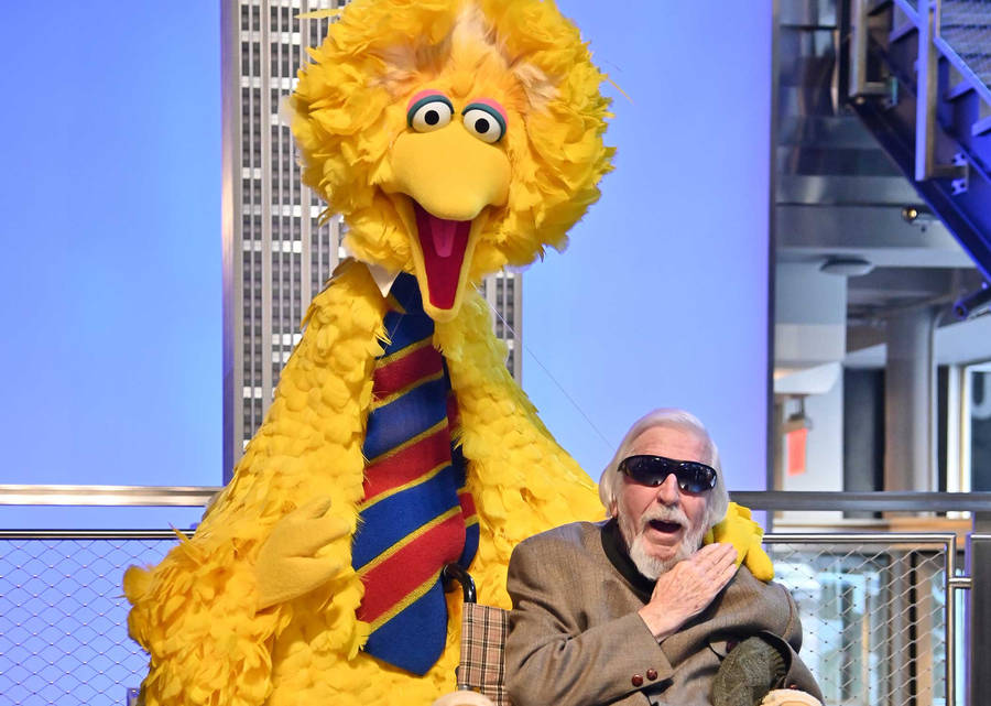 Big Bird And Caroll In New York Wallpaper