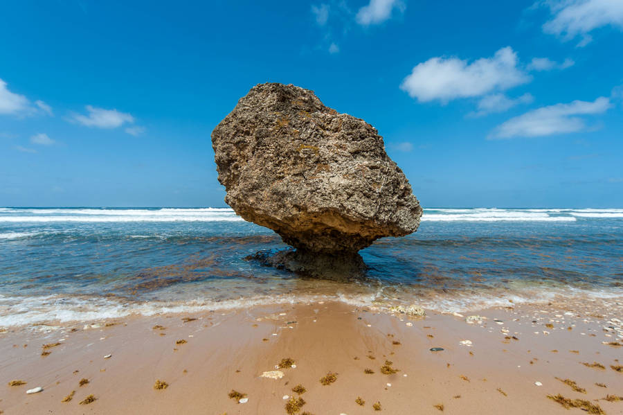 Big Rock On Barbados Sea Wallpaper