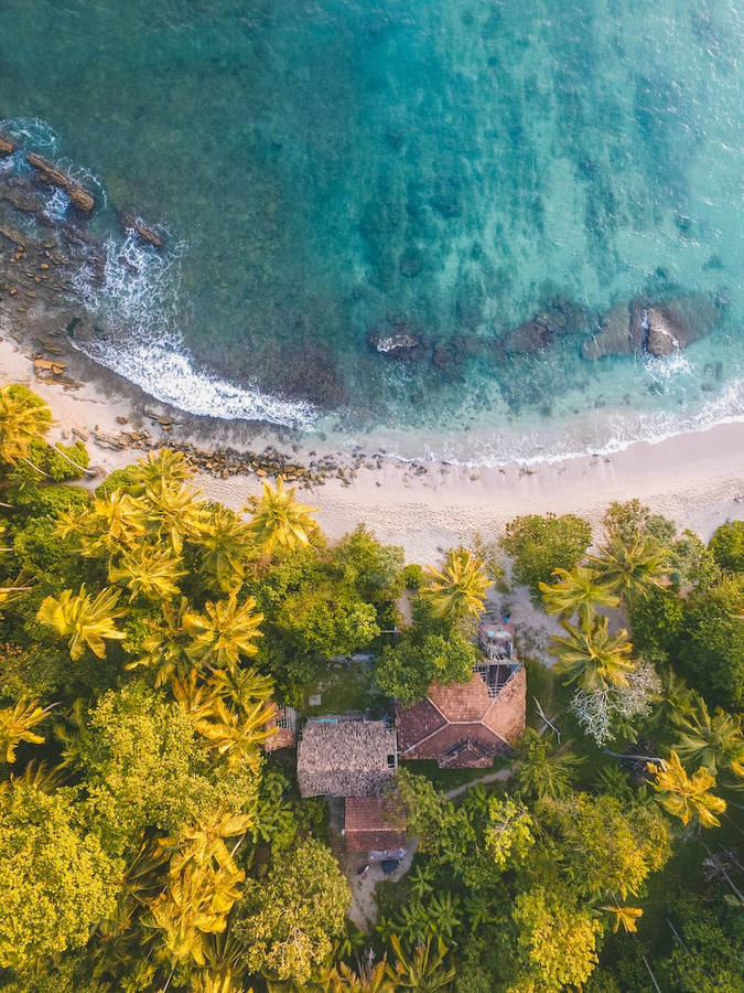 Bird Eye Shot Of Beach Line Iphone Whatsapp Wallpaper