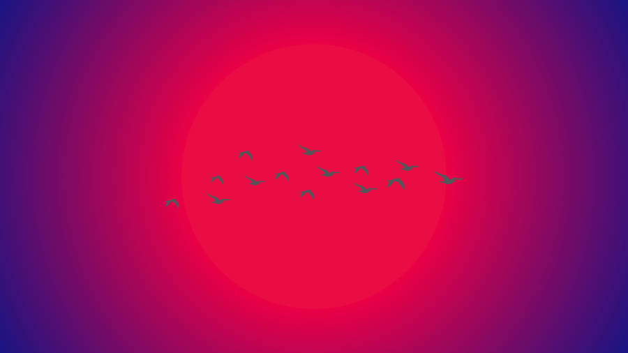 Birds Flying Against The Sun Minimalist Aesthetic Laptop Wallpaper