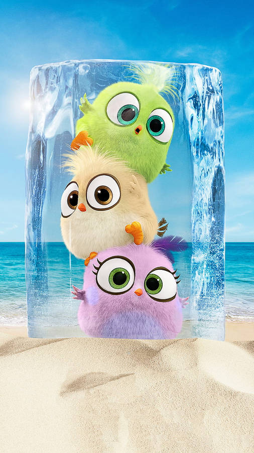 Birds Ice Block Cute 3d Phone Wallpaper