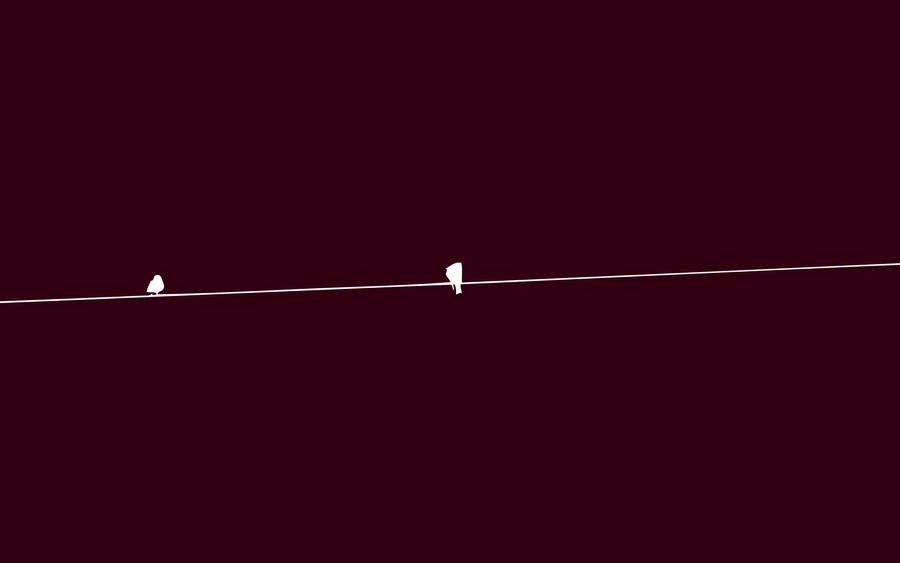 Birds On Wire Minimalist Ipad Wallpaper