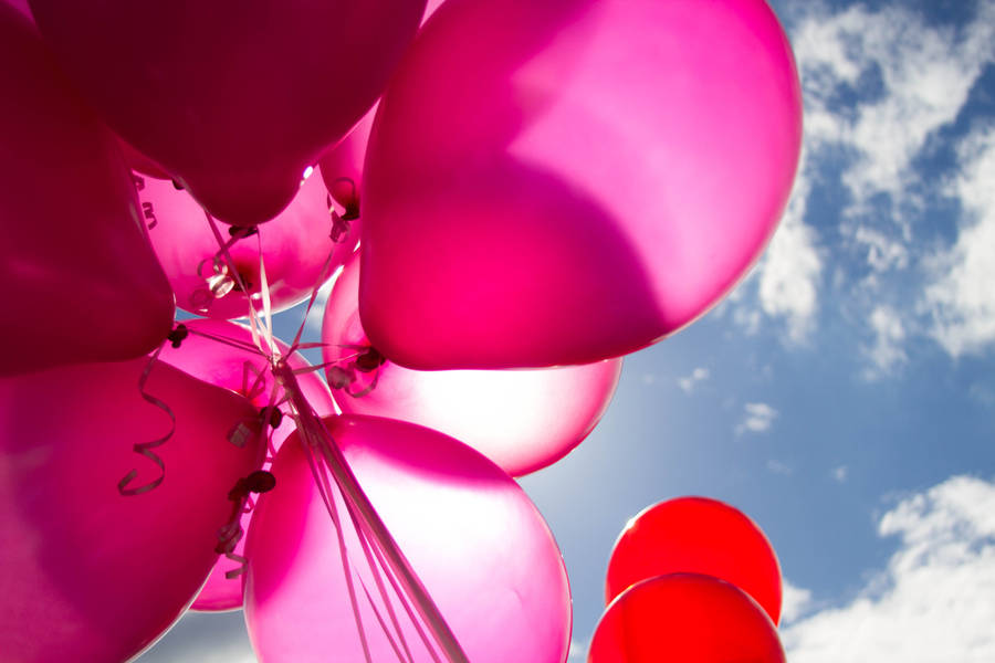 Birthday Pink And Red Balloons Wallpaper