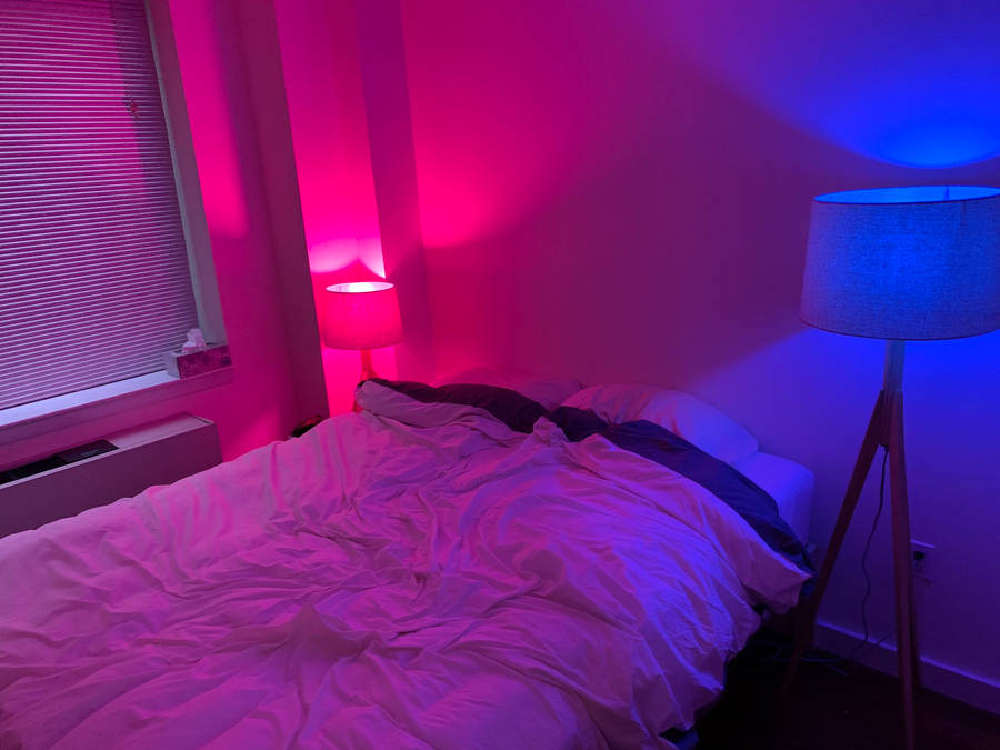 Bisexual Lit Bedroom Wallpaper