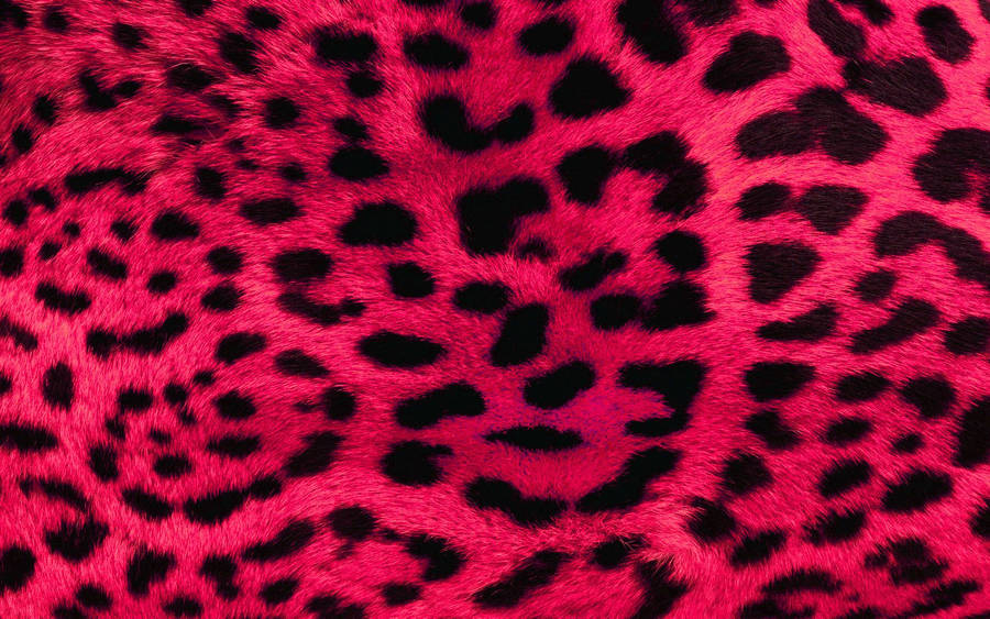 Black And Pink Animal Fur Wallpaper