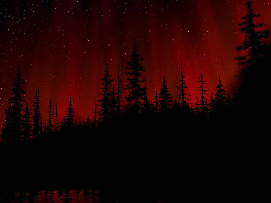 Black And Red Forest Wth Trees Wallpaper