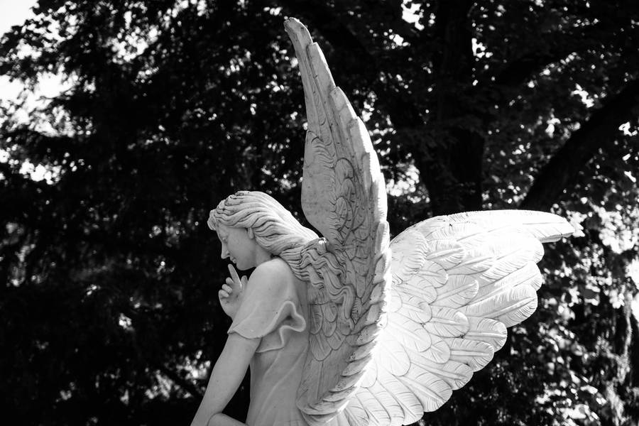 Black And White Biblical Angel Wallpaper