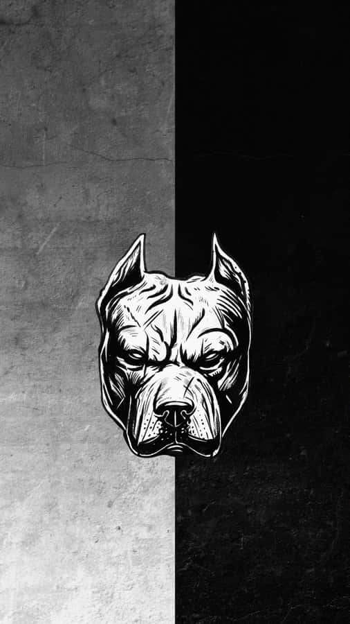 Black And White Dog Pitbull Poster Wallpaper