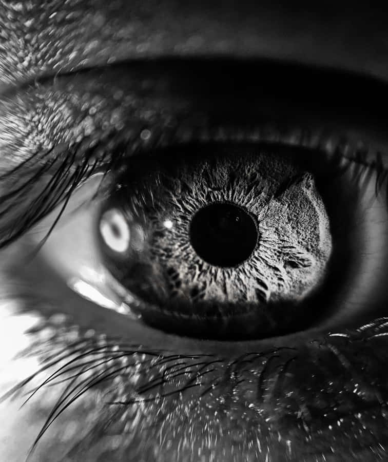 Black And White Eye Macro Photography Wallpaper