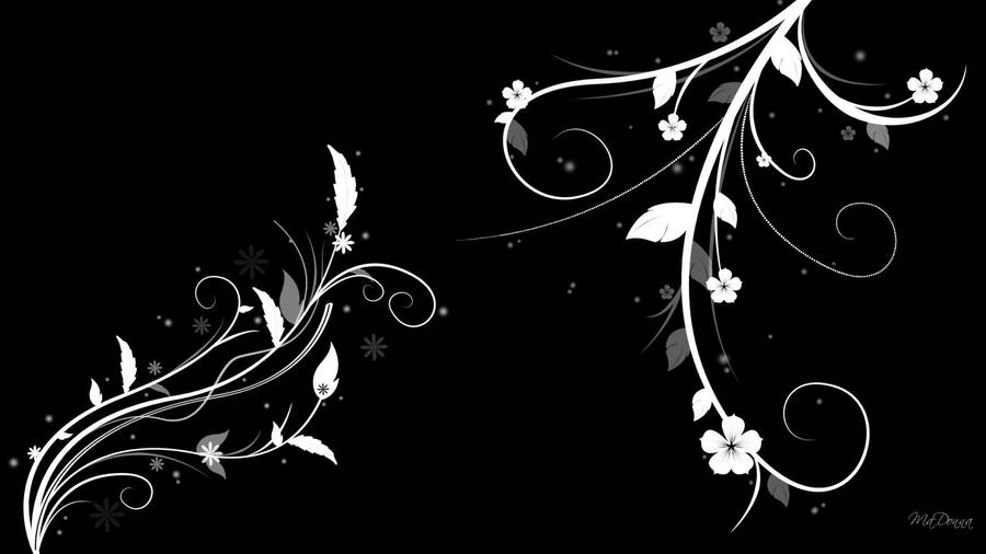 Black And White Flower And Leaves Wallpaper