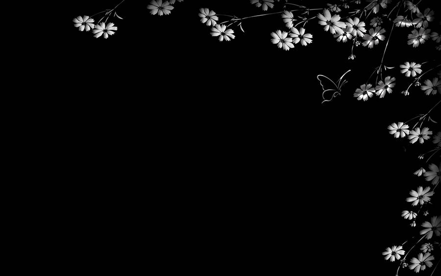 Black And White Flower Butterfly Background Wallpaper