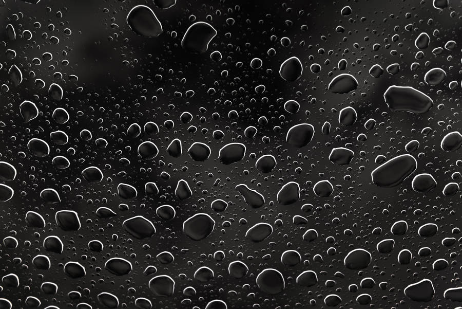 Black And White Hd Water Droplets Wallpaper