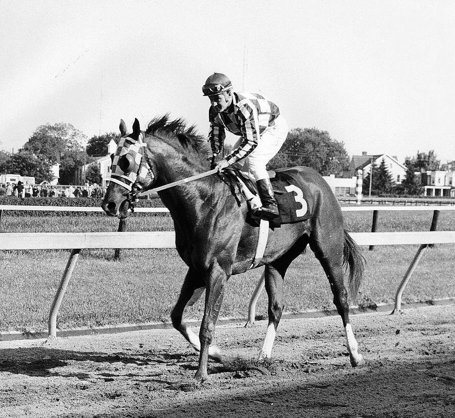 Black And White Number Three Secretariat Wallpaper