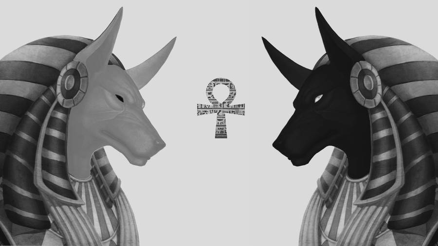 Black And White Statues 4k Anubis Wallpaper