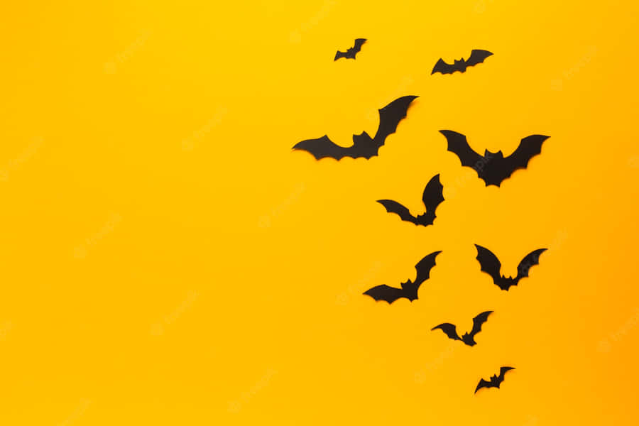 Black Bats Yellow Background Wallpaper