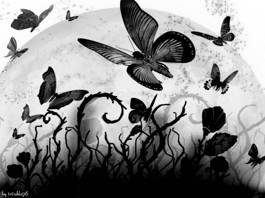 Black Butterfly Flying Over Abstract Plants Wallpaper