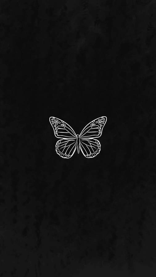 Black Butterfly In Dark Backdrop Wallpaper