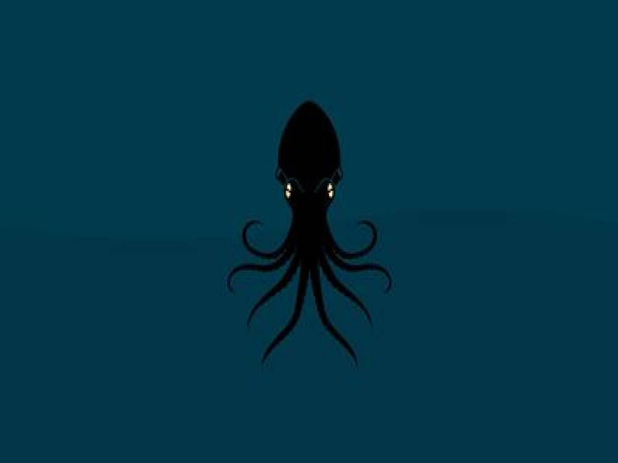 Black Calamari Vector Art Wallpaper