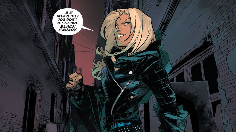 Black Canary Comics Introduction Wallpaper