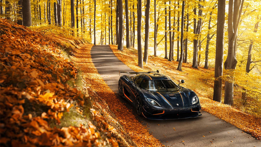 Black Car Hd Autumn Wallpaper