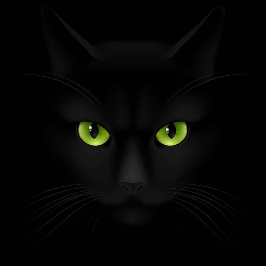 Black Cat With Green Eyes Digital Art Wallpaper