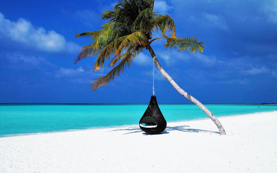 Black Hammock On White Beach Wallpaper