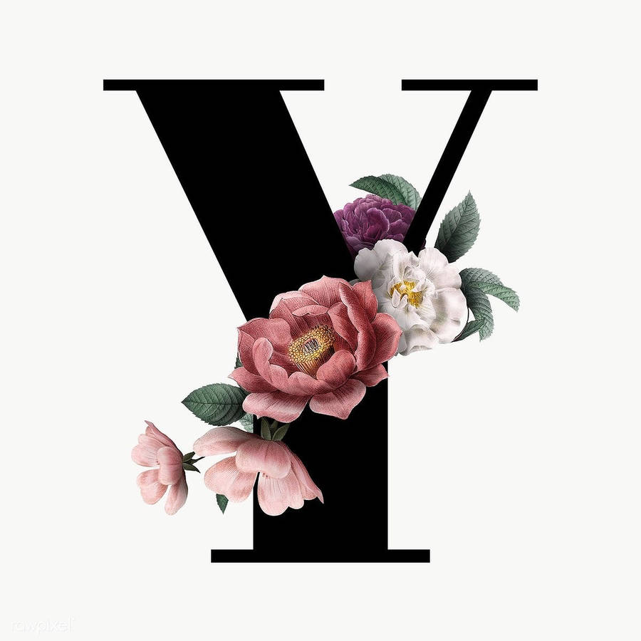 Black Letter Y Wallpaper