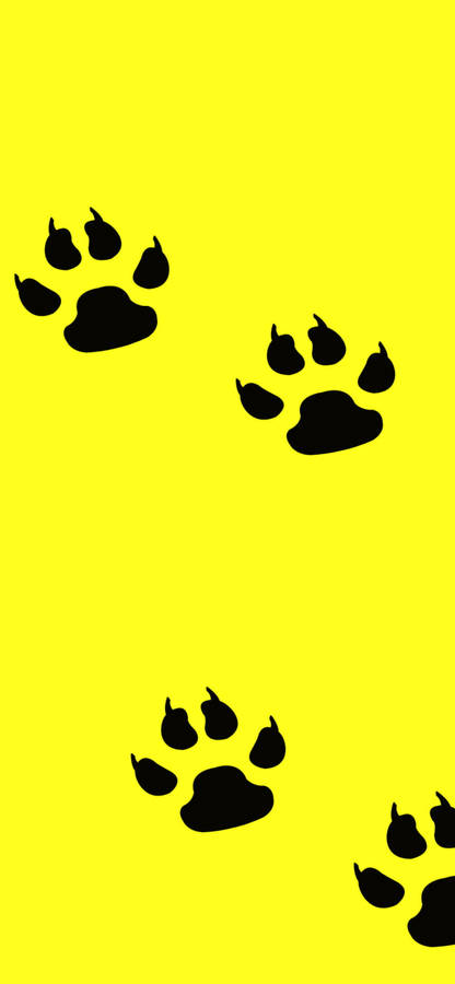 Black Paw Prints On Yellow Wallpaper