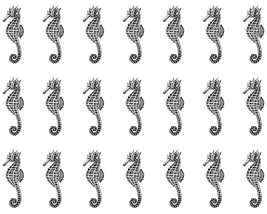 Black Vintage Seahorses Wallpaper