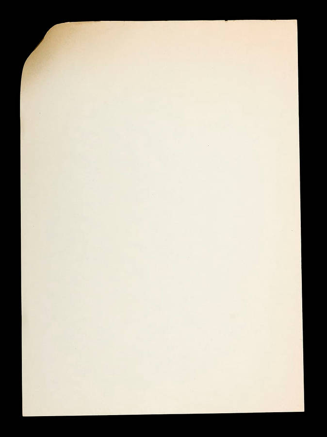 Blank Page Light Parchment Wallpaper