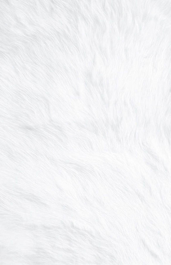 Blank White Fur Texture Wallpaper