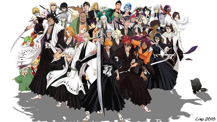 Bleach Ichigo And Main Characters Wallpaper