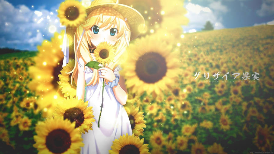 Blonde Sunflower Laptop Wallpaper