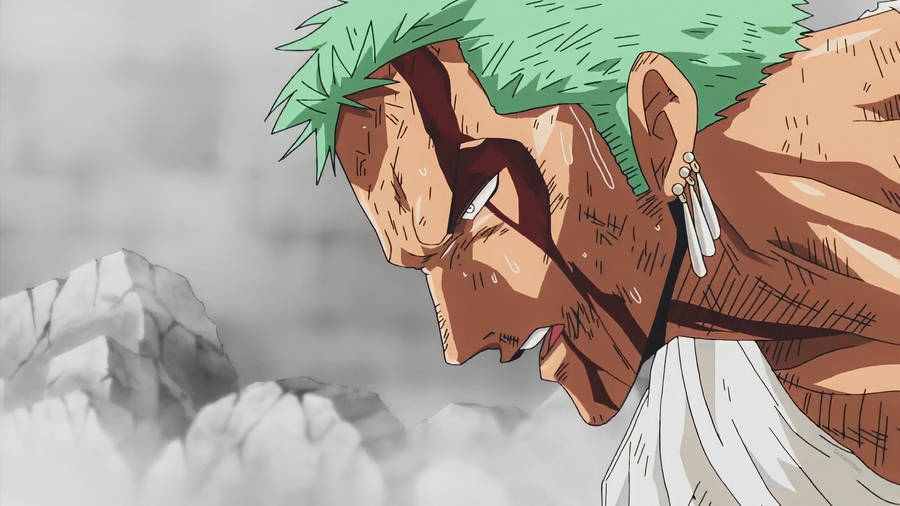 Bloody Face Anime Zoro Pfp Wallpaper