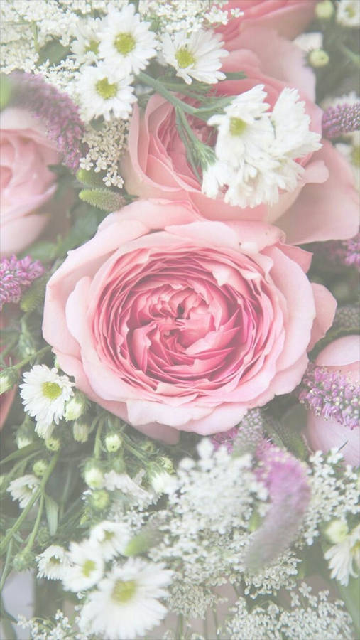 Blooming Pink Floral Iphone Wallpaper