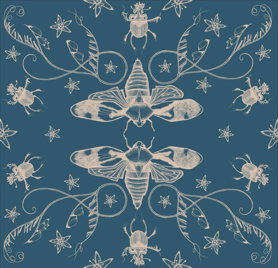 Blue Aesthetic Cicada Wallpaper