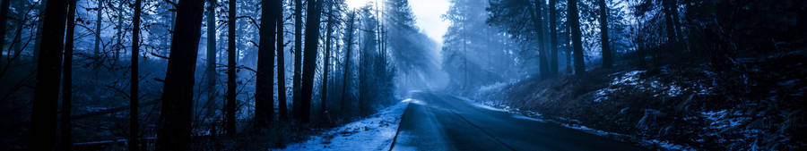 Blue Aesthetic Forest Road Wallpaper